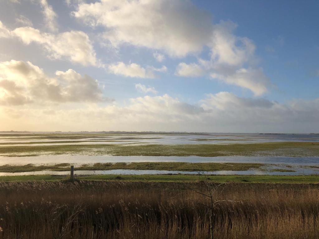 Onder De Boom Bed & Breakfast Gerkesklooster Bagian luar foto