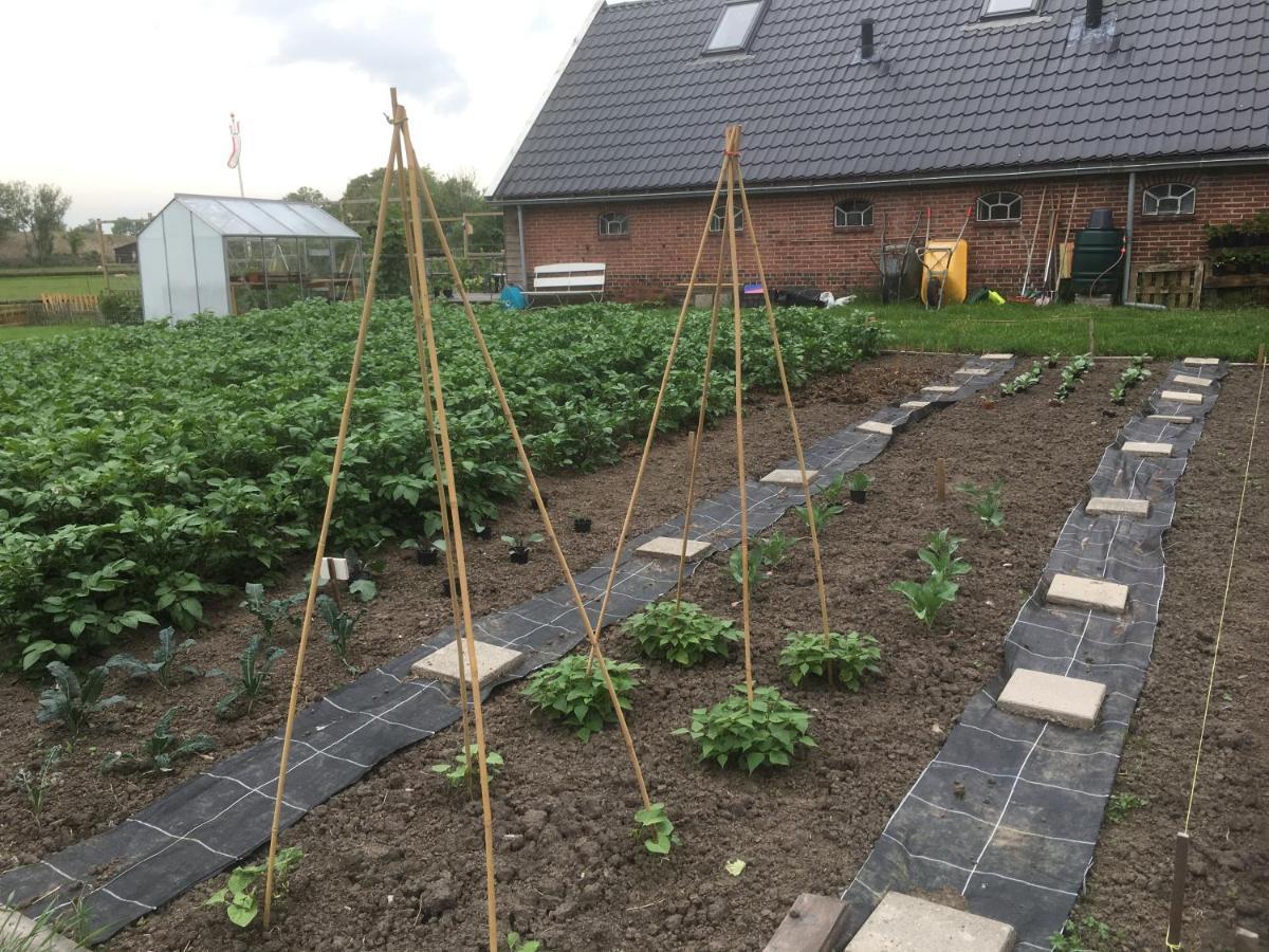 Onder De Boom Bed & Breakfast Gerkesklooster Bagian luar foto